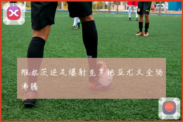 维尔茨逆足爆射克罗地亚尤文全场沸腾