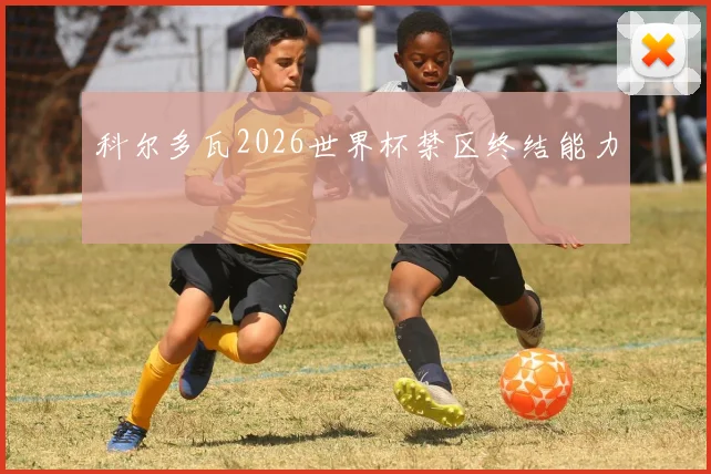 科尔多瓦2026世界杯禁区终结能力