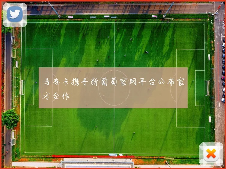 马洛卡携手新葡萄官网平台公布官方合作