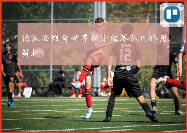 德米洛维奇世界杯小组赛队内作用解析